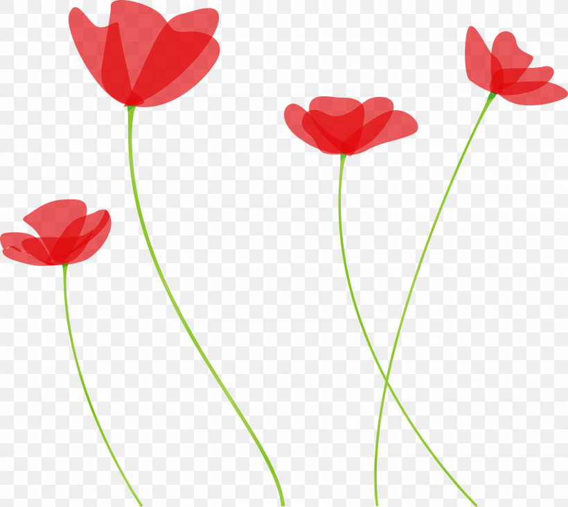 Red Flower Plant Stem Tulip Plant, PNG, 3000x2679px, Poppy Flower, Anemone, Coquelicot, Corn Poppy, Flower Download Free