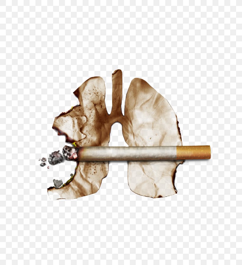 Smoking Ban Fatty Liver Liver Function Tests, PNG, 726x898px, Watercolor, Cartoon, Flower, Frame, Heart Download Free