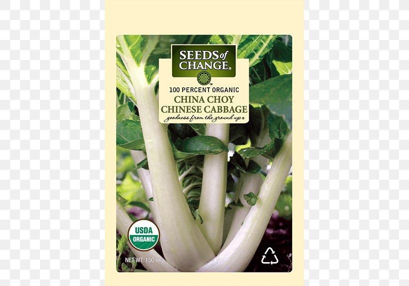 Chard Chinese Cabbage Chinese Cuisine Choy Sum Herb, PNG, 573x573px, Chard, Bok Choy, Brassica, Brassica Rapa, Chinese Cabbage Download Free