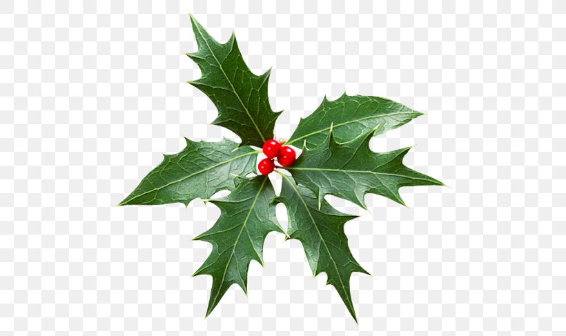 Christmas Advent Calendars Advent Wreath Alchemy, PNG, 514x487px, Christmas, Advent, Advent Calendars, Advent Wreath, Alchemy Download Free