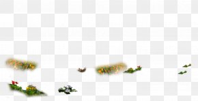 Insect - Insect Pollinator Line Font PNG