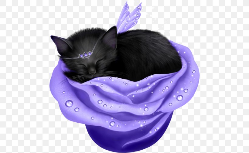 Purple Violet Color Lilac, PNG, 504x504px, Purple, Black, Black Cat, Carnivoran, Cat Download Free