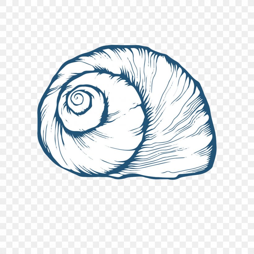 Seashell Oyster Drawing, PNG, 1000x1000px, Watercolor, Cartoon, Flower, Frame, Heart Download Free