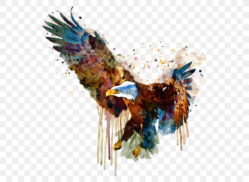 Bald Eagle Watercolor Painting Bird, PNG, 600x600px, 2018, Bald Eagle, Art, Artist, Beak Download Free