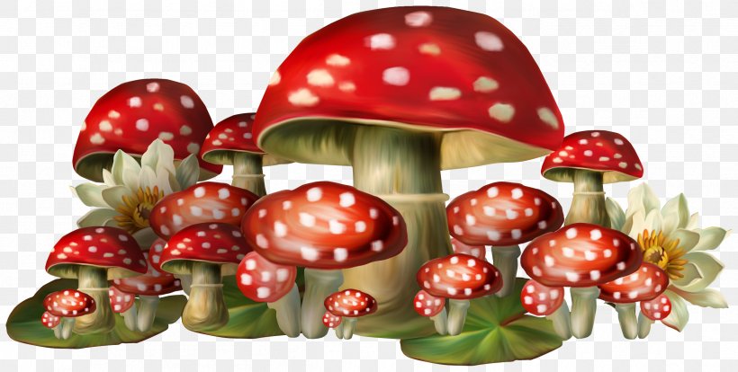 Common Mushroom, PNG, 2399x1212px, Mushroom, Common Mushroom, Computer Graphics, Food, Fruit Download Free