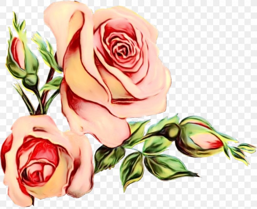 Floral Wedding Invitation Background, PNG, 890x725px, Floral Design, Bud, Cabbage Rose, Cut Flowers, Floribunda Download Free