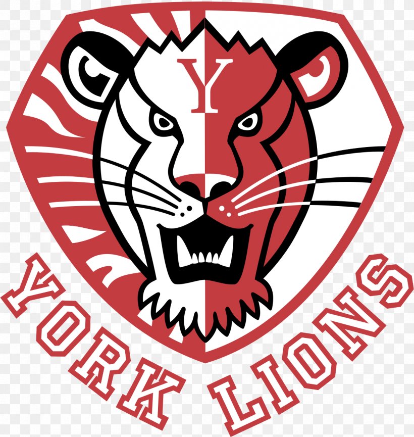York University York Lions Women's Ice Hockey University Of Windsor, PNG, 1200x1266px, York University, Area, Artwork, Brand, Carnivoran Download Free