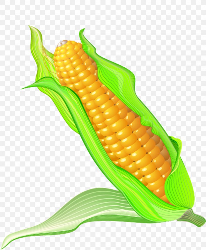 Corn On The Cob Maize Cartoon, PNG, 1024x1238px, Corn On The Cob, Animation, Cartoon, Commodity, Corn Kernel Download Free
