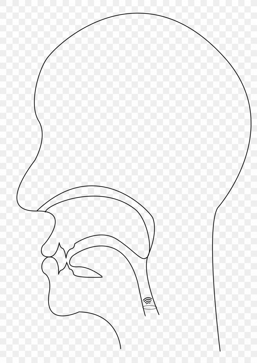 Ear Line Art Drawing /m/02csf Clip Art, PNG, 1697x2400px, Watercolor, Cartoon, Flower, Frame, Heart Download Free