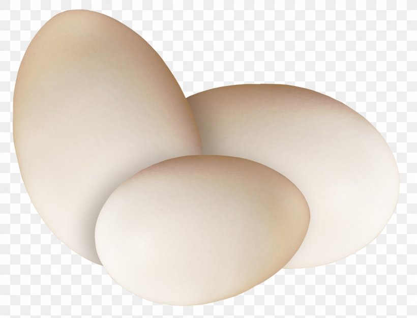 Egg Lighting, PNG, 1796x1369px, Egg, Lighting Download Free