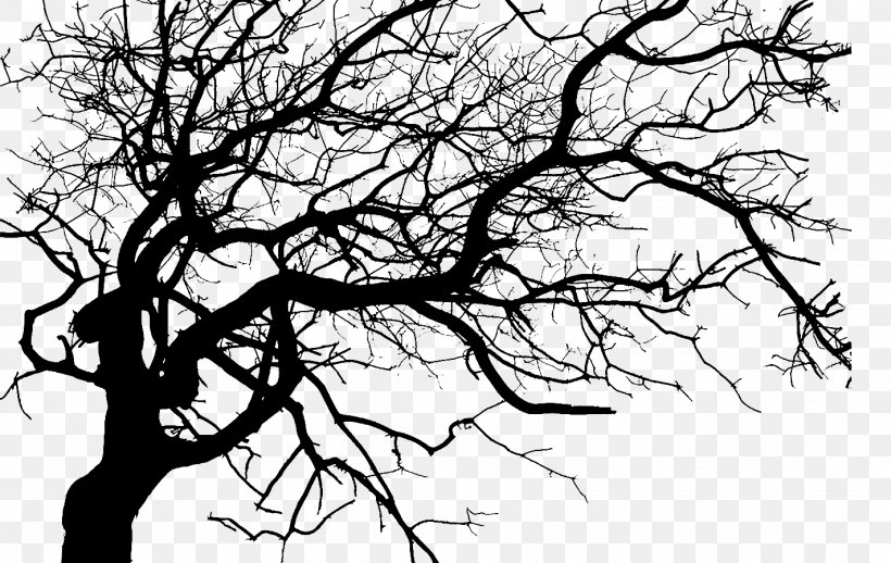Tree Trunk Drawing, PNG, 1422x900px, Twig, Black White M, Blackandwhite, Branch, Drawing Download Free
