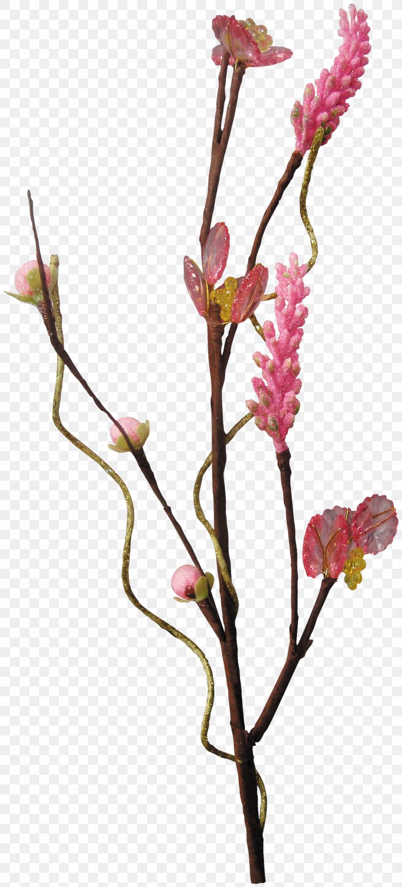 Work Of Art Flower, PNG, 1133x2500px, Work Of Art, Art, Blossom, Branch, Bud Download Free