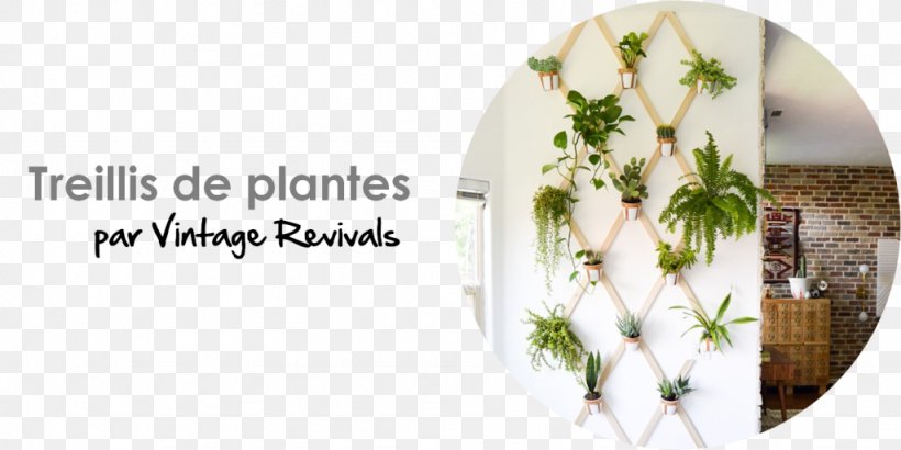 Garden Ideas Indoor Gardening Green Wall, PNG, 1024x512px, Garden Ideas, Cut Flowers, Flora, Floral Design, Floristry Download Free