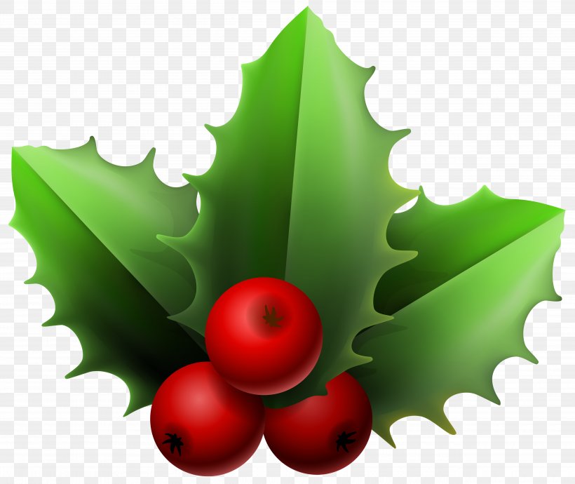 Mistletoe Clip Art, PNG, 5000x4210px, Common Holly, Aquifoliaceae, Aquifoliales, Christmas, Flowering Plant Download Free
