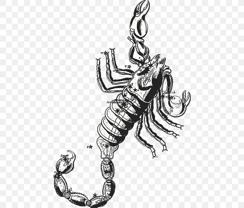 Scorpio Scorpius Constellation Astrological Sign Zodiac, PNG, 462x700px, Scorpio, Ara, Arm, Art, Artwork Download Free