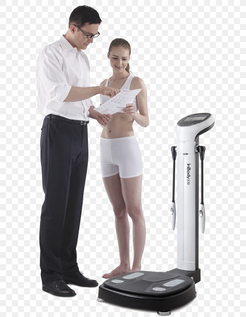 Body Composition InBody Japan Muscle Body Water Human Body, PNG, 641x1056px, Body Composition, Abdomen, Adipose Tissue, Arm, Balance Download Free