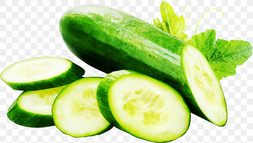 Natural Foods Vegetable Cucumber Food Plant, PNG, 1500x849px, Natural Foods, Cucumber, Cucumber Gourd And Melon Family, Cucumis, Food Download Free