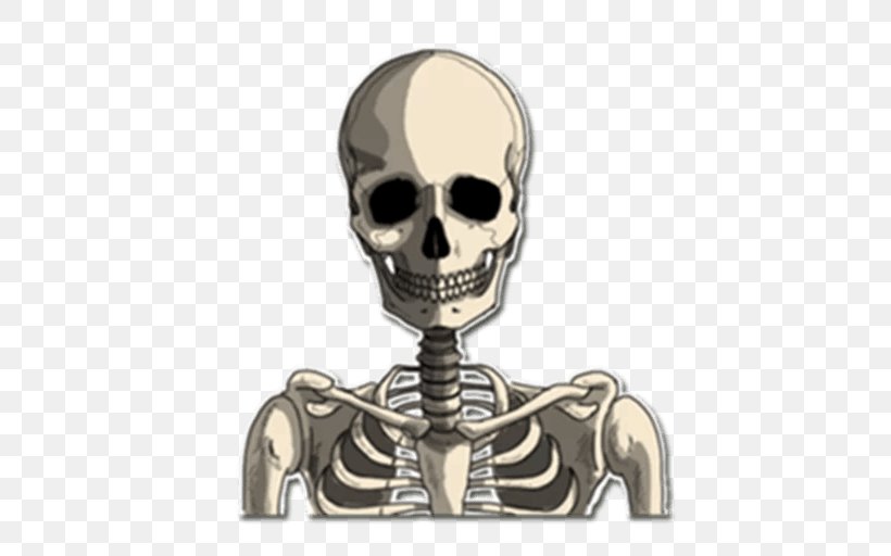 骷髅 Skeleton Sticker Skull Telegram, PNG, 512x512px, Skeleton, Bone, Collecting, Decal, Jaw Download Free