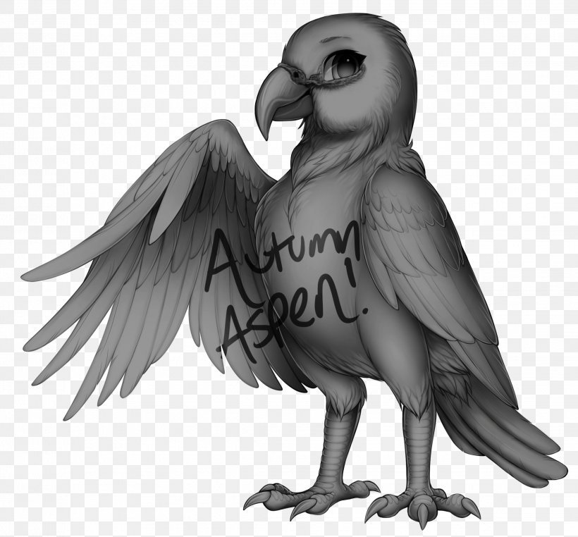 Owl Eurasian Magpie Bird Hooded Crow Common Raven, PNG, 2267x2108px, Owl, Beak, Bird, Bird Of Prey, Black And White Download Free