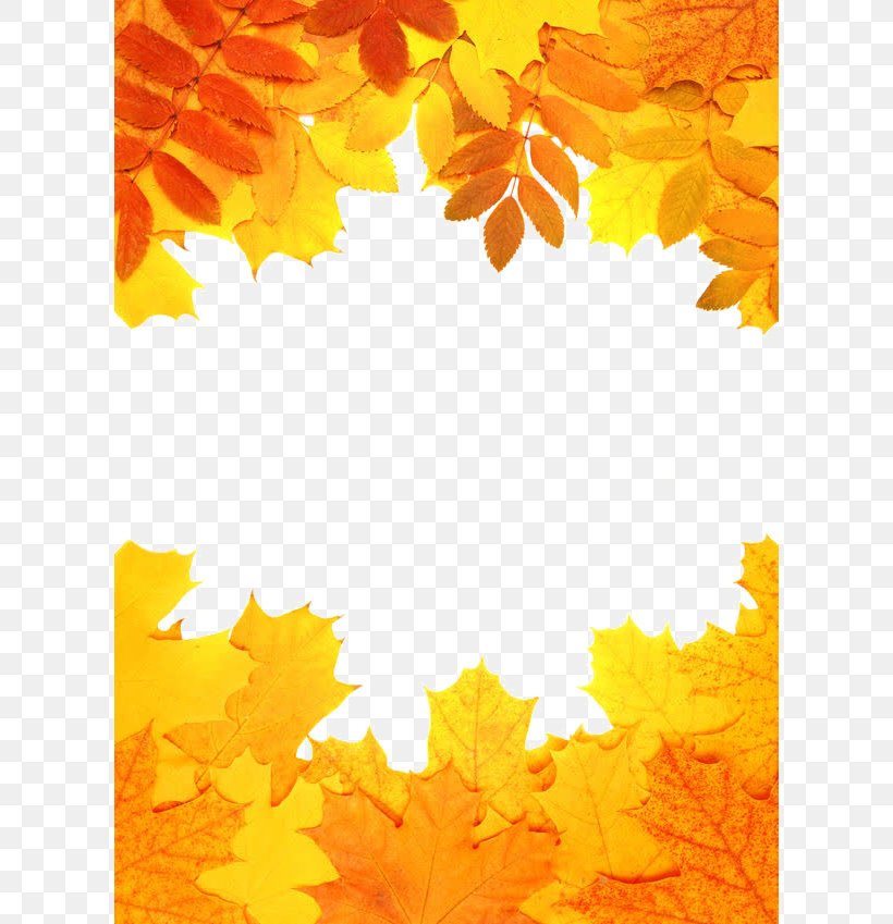 Autumn Leaf Color Orange, PNG, 610x849px, Autumn, Autumn Leaf Color, Color, Decorative Arts, Facebook Download Free