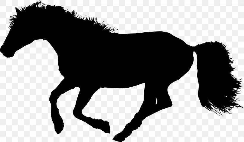 Horse Equestrian T-shirt Clip Art, PNG, 2294x1340px, Horse, Black And White, Bridle, Canter And Gallop, Colt Download Free