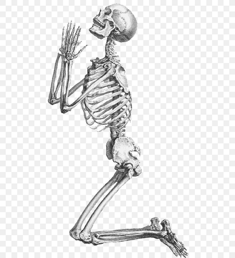 Human Skeleton Prayer Praying De Humani Corporis Fabrica Libri Septem, PNG, 521x900px, Human Skeleton, Anatomy, Arm, Art, Black And White Download Free