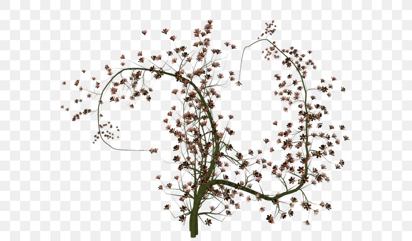 Twig Line Point Plant Stem Leaf, PNG, 600x480px, Twig, Area, Blossom, Branch, Flora Download Free