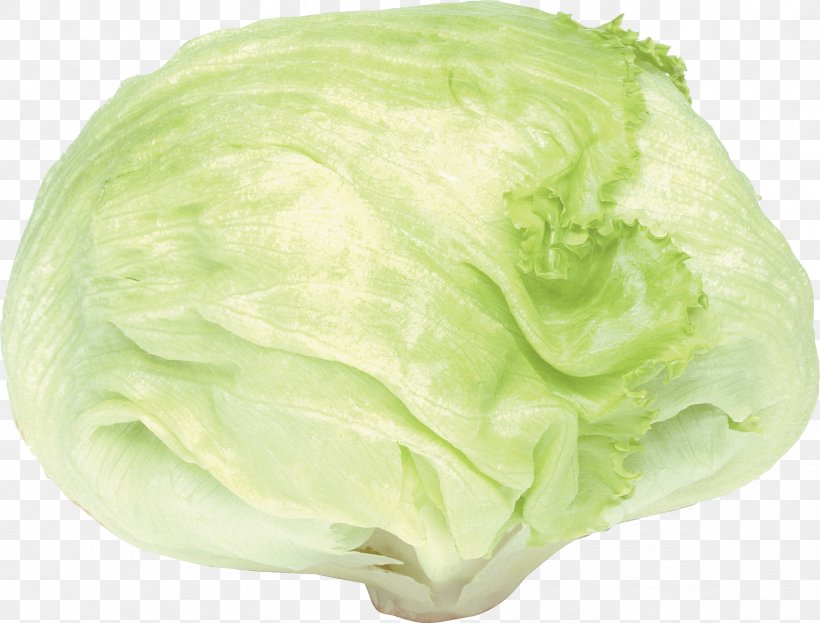 Cabbage Romaine Lettuce Cauliflower Kale, PNG, 2349x1785px, Cabbage, Brassica Oleracea, Butterhead Lettuce, Cauliflower, Cruciferous Vegetables Download Free