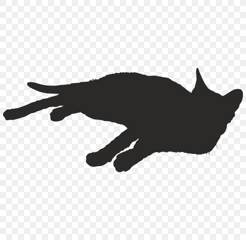 Cat Kitten Silhouette Sticker, PNG, 800x800px, Cat, Animal, Black, Black And White, Black Cat Download Free