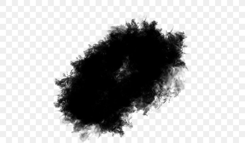 Hair Black Black Hair Fur Eyelash, PNG, 640x480px, Hair, Black, Black Hair, Blackandwhite, Eyelash Download Free