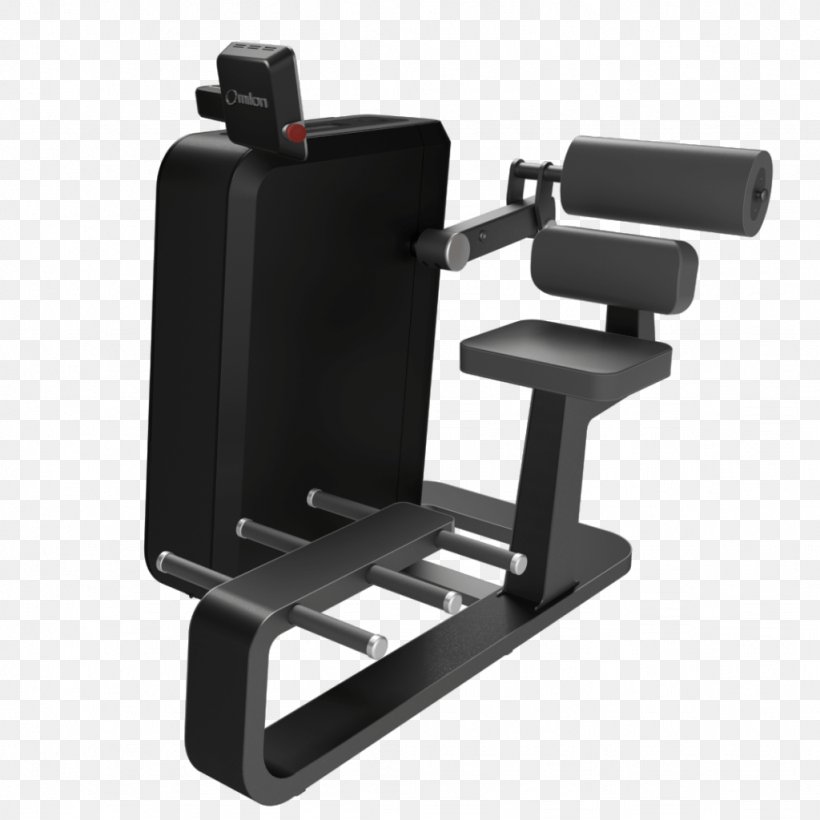 Hyperextension Crunch Training Bench Press Physical Therapy, PNG, 1024x1024px, Hyperextension, Bench Press, Camera Accessory, Crunch, Endurance Download Free