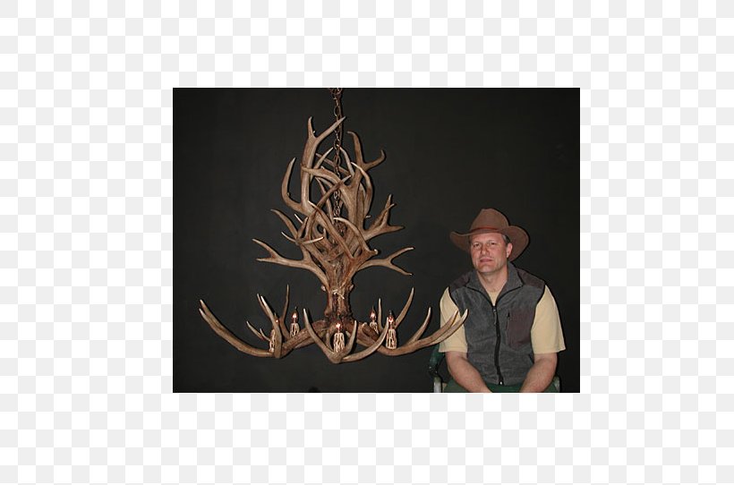 Mule Deer Antlers By Cody Chandelier, PNG, 736x542px, Deer, Antler, Antlers By Cody, Art, Artist Download Free