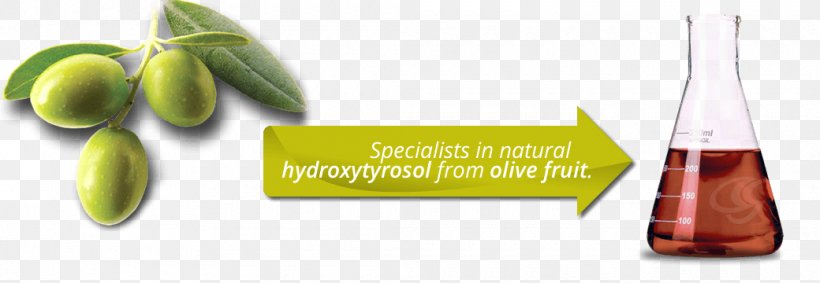 Olive Oil Hydroxytyrosol Oxygen Radical Absorbance Capacity Food, PNG, 1040x360px, Olive Oil, Antioxidant, Cooking Oil, Extract, Extraction Download Free