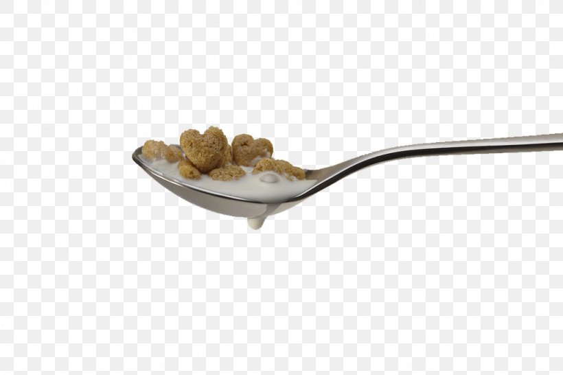 Soup Spoon Breakfast Fork, PNG, 1024x683px, Spoon, Biscuit, Breakfast, Condensed Milk, Cookie Download Free