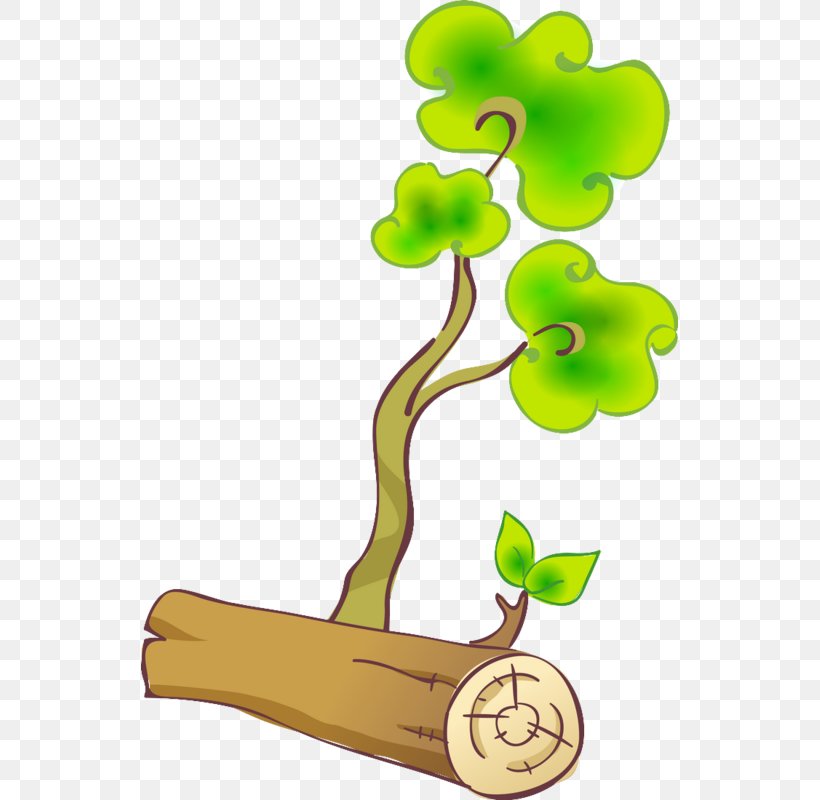 Tree Stump Branch Trunk Clip Art, PNG, 537x800px, Tree, Branch, Cartoon, Drawing, Flora Download Free
