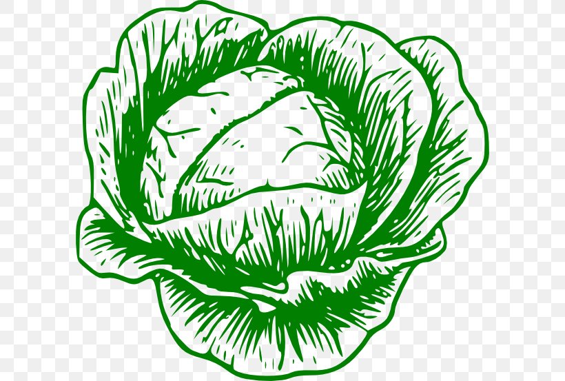 White Cabbage Vegetable Savoy Cabbage Clip Art, PNG, 600x553px, White Cabbage, Artwork, Black And White, Broccoli, Cabbage Download Free