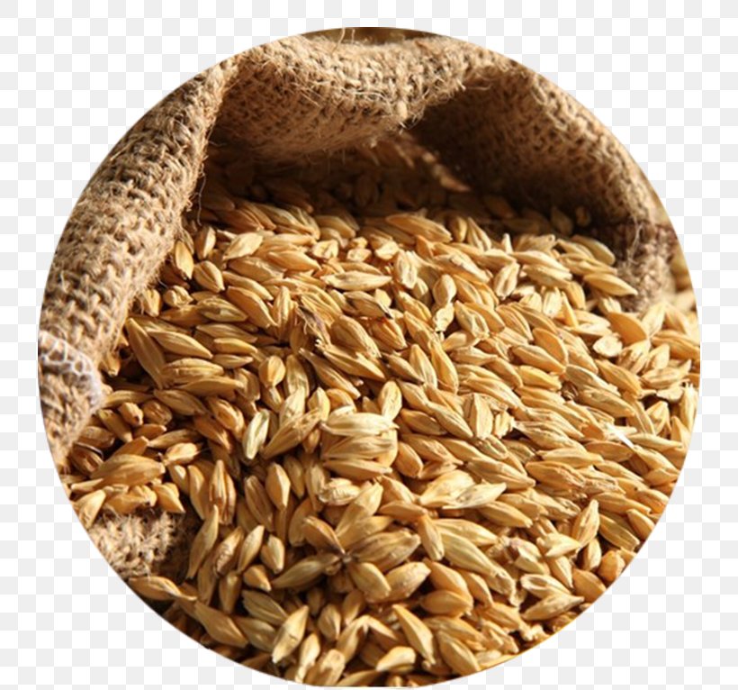 Barley Water Scotch Whisky Food Bread, PNG, 766x766px, Barley, Avena, Barley Water, Bread, Cereal Download Free