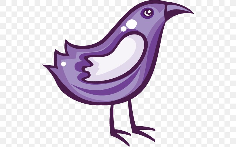 Bird Chicken Purple, PNG, 529x511px, Bird, Beak, Chicken, Drawing, Google Images Download Free
