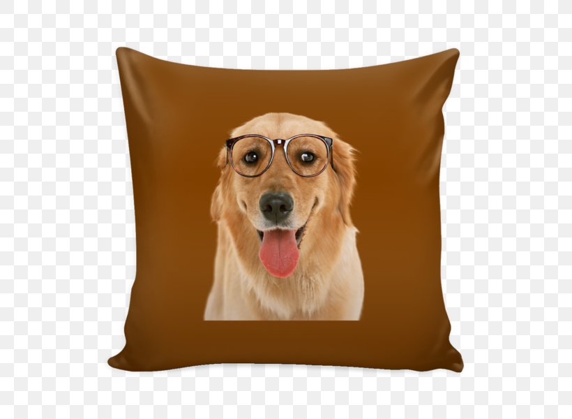 Golden Retriever Throw Pillows Chair Bed, PNG, 600x600px, Golden Retriever, Bed, Bed Frame, Bed Size, Bluza Download Free