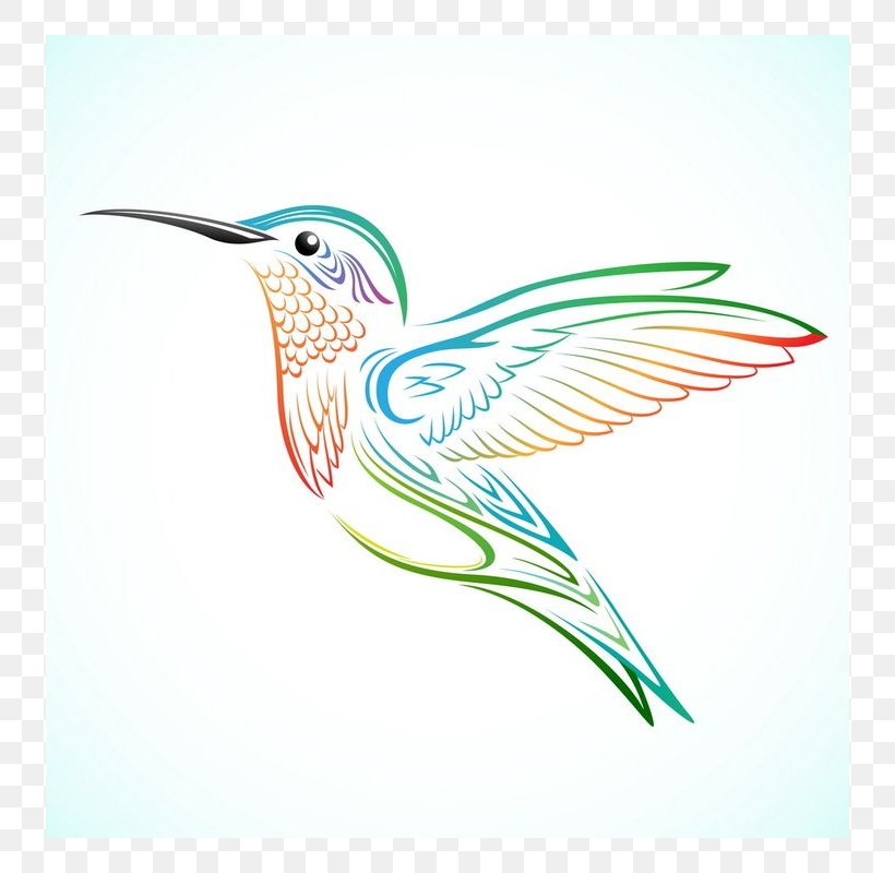 Hummingbird Tattoo Drawing, PNG, 800x800px, Hummingbird, Beak, Bird, Drawing, Fauna Download Free