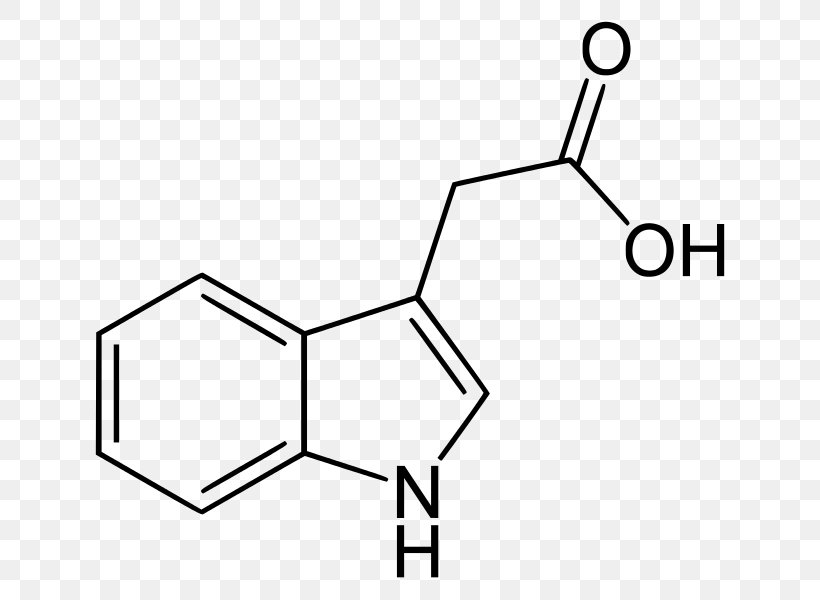 Indole-3-acetic Acid Indole-3-butyric Acid Auxin, PNG, 672x600px, 4chloroindole3acetic Acid, Indole3acetic Acid, Acetic Acid, Acid, Area Download Free