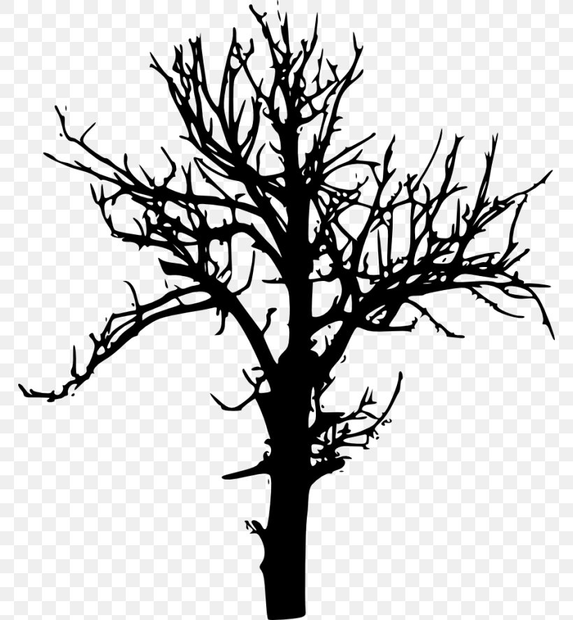 Clip Art Transparency Silhouette Drawing, PNG, 768x887px, Silhouette, American Larch, Art, Blackandwhite, Branch Download Free