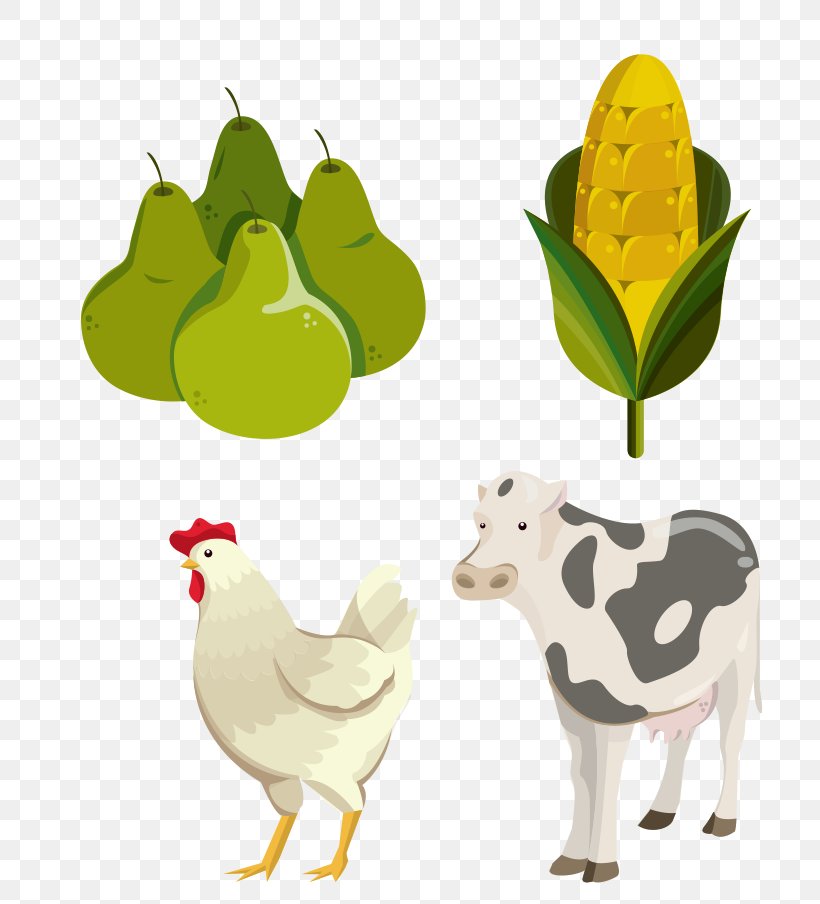 Rooster Clip Art Image Illustration Chicken, PNG, 722x904px, Rooster, Animal Figure, Art, Bauernhof, Bird Download Free