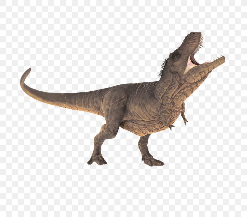 Tyrannosaurus Reptile Triceratops Stegosaurus Dinosaur, PNG, 720x720px, Tyrannosaurus, Animal Figure, Dinosaur, Fauna, Giganotosaurus Download Free