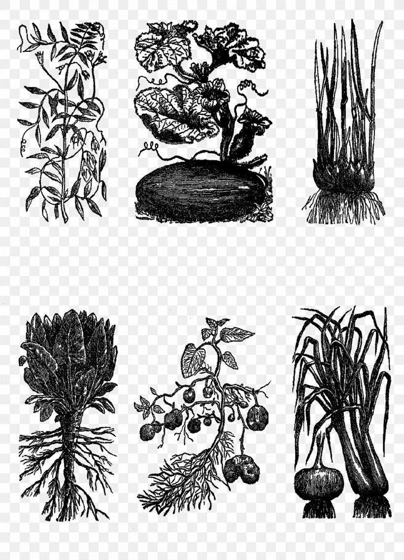 Visual Arts Digital Illustration Sketch, PNG, 1154x1600px, Visual Arts, Antique, Art, Black And White, Collage Download Free