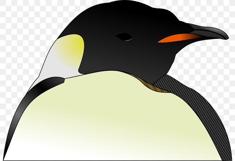 Emperor Penguin Bird Clip Art, PNG, 800x560px, Penguin, Beak, Bird, Drawing, Emperor Penguin Download Free