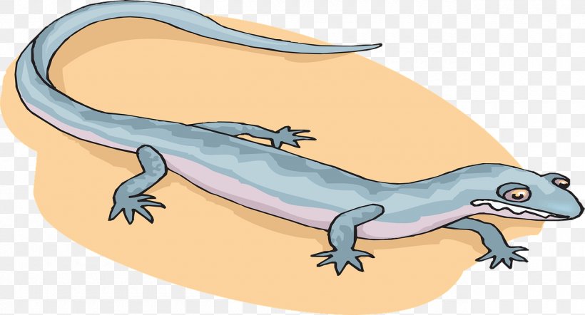 Salamander Cartoon Newt Clip Art, PNG, 1280x691px, Salamander, Amphibian, Animaatio, Bluespotted Salamander, Cartoon Download Free