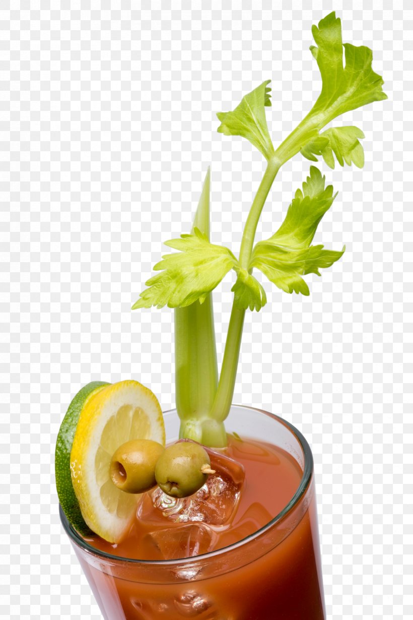 Bloody Mary Cocktail Garnish Mai Tai Rum And Coke, PNG, 1672x2508px, Bloody Mary, Alcoholic Drink, Celery, Cocktail, Cocktail Garnish Download Free