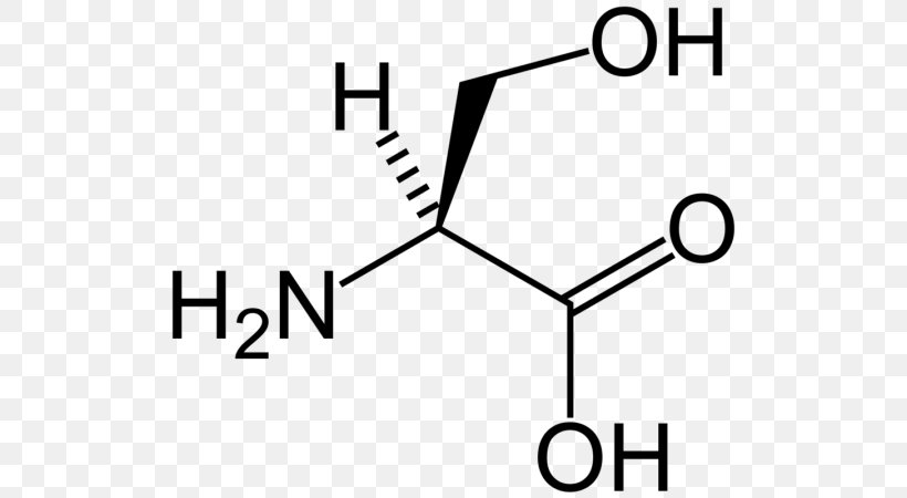 Serine Valine Proteinogenic Amino Acid Tyrosine, PNG, 576x450px, Serine, Alanine, Amino Acid, Area, Aspartic Acid Download Free
