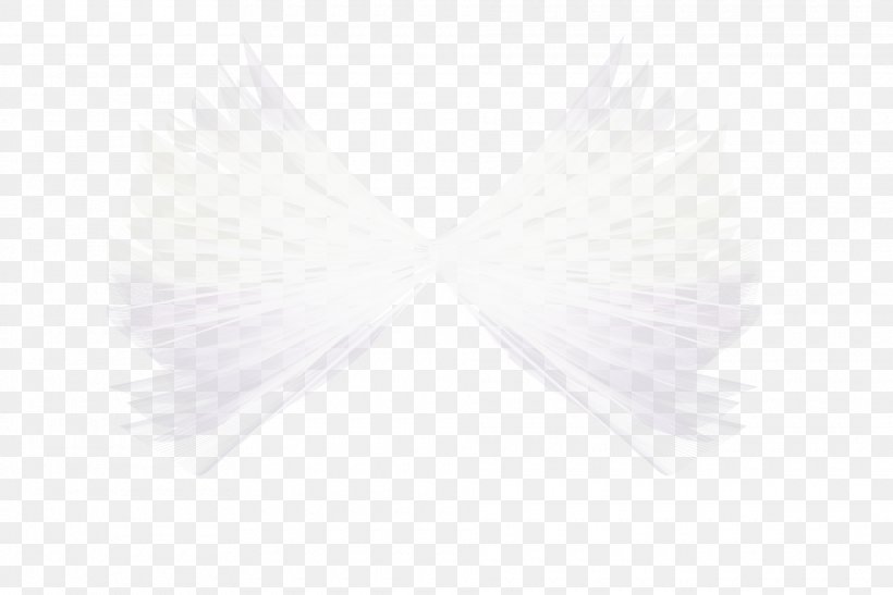 White Fur Neck, PNG, 1920x1281px, White, Black And White, Feather, Fur, Neck Download Free